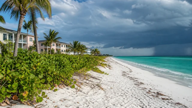 Florida housing